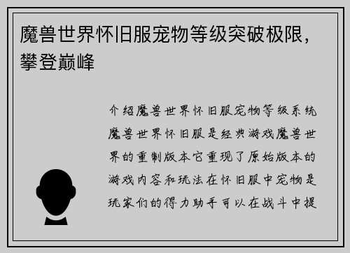 魔兽世界怀旧服宠物等级突破极限，攀登巅峰